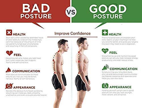 Posture Corrector Belt Unisex Package Contains.